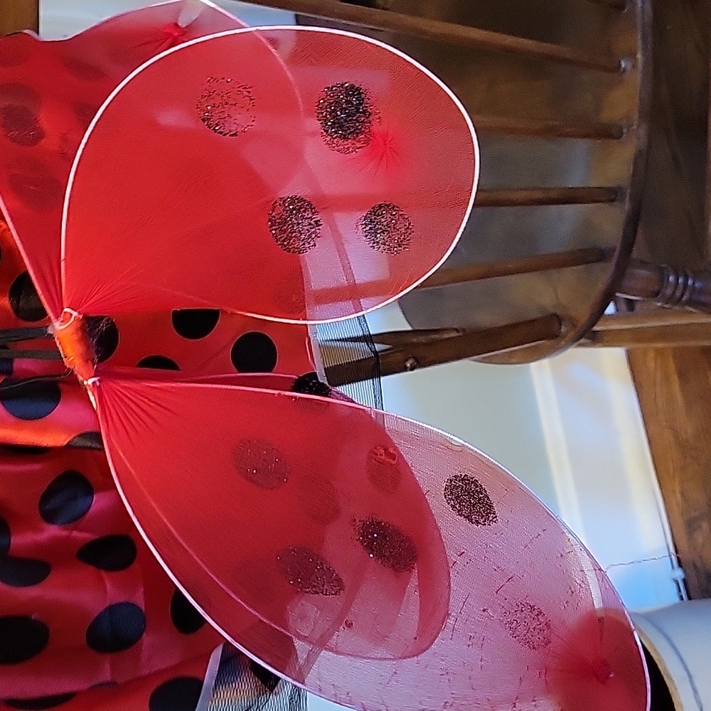 🌻 4 for $15🌻 ladybug Halloween costume - Picture 3 of 3